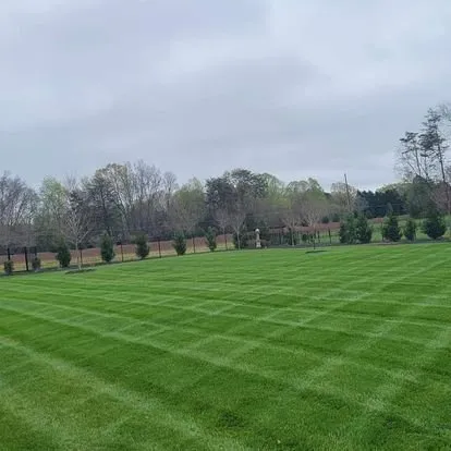 Reliable yard cleanup service in Greensboro, NC by Alexander Lawncare