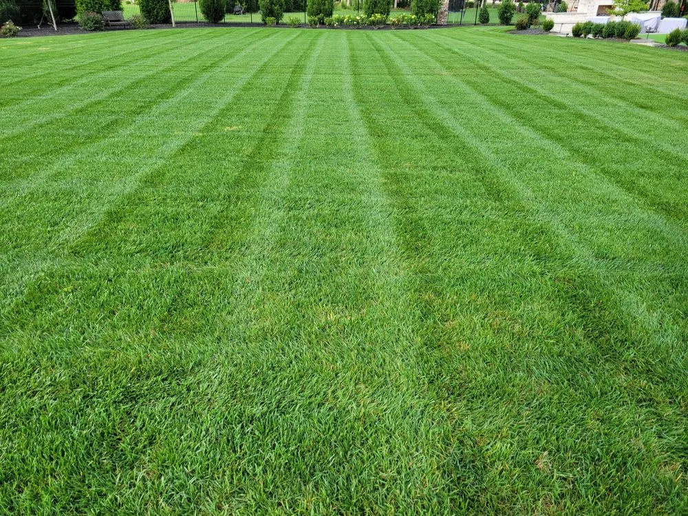 Trusted landscape design in Greensboro, NC by Alexander Lawncare