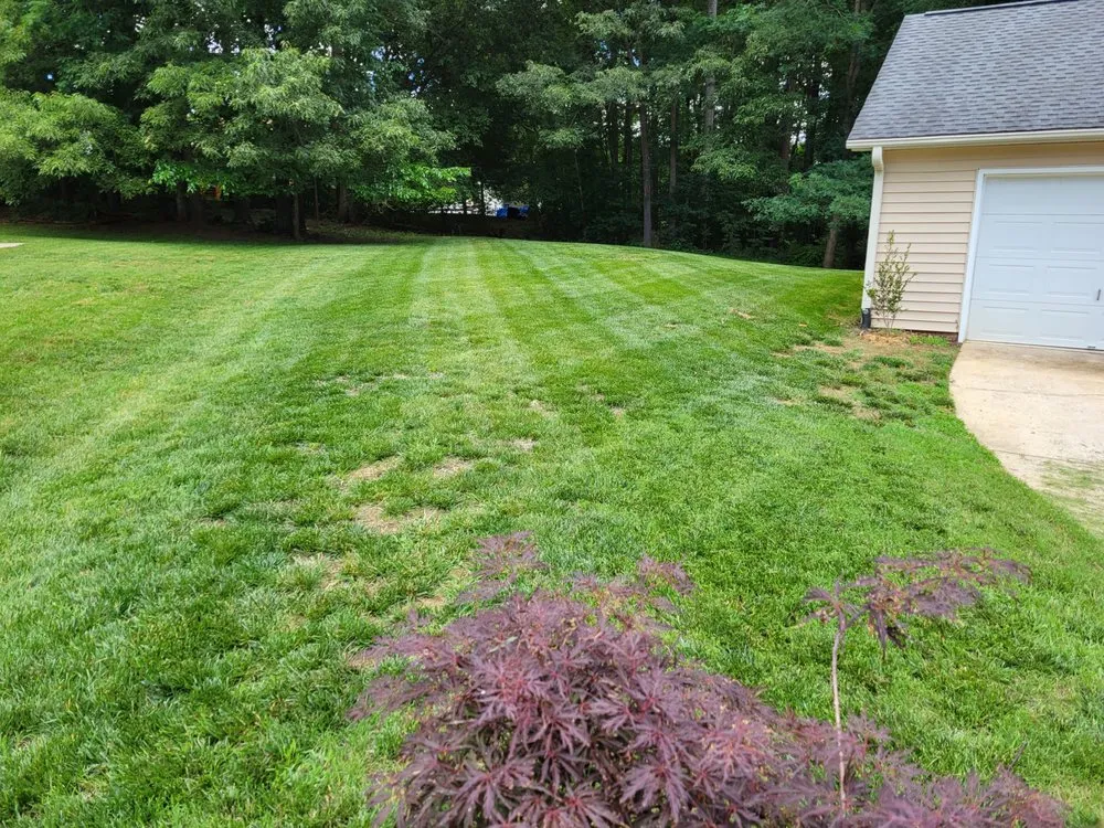 Local residential landscaping for beautiful yards across Greensboro, NC - Alexander Lawncare