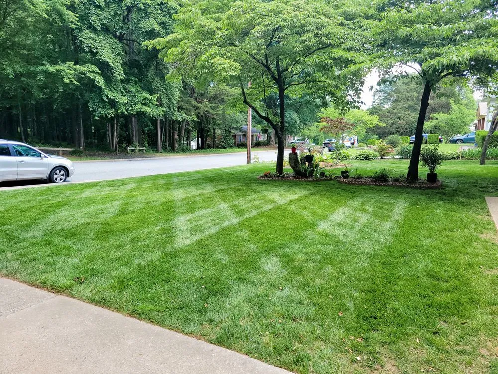 Reliable lawn care service in Greensboro, NC - Alexander Lawncare