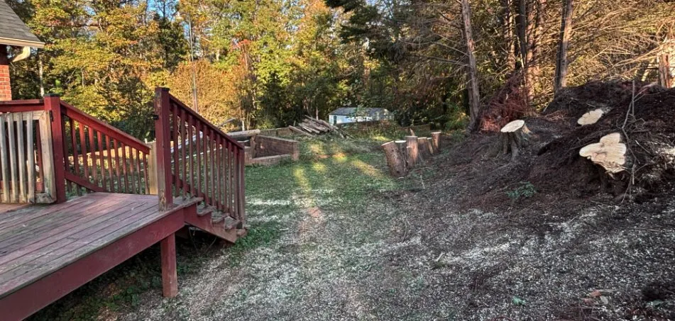 Affordable yard cleanup service in Forest City, NC by Alexander Outdoor Services