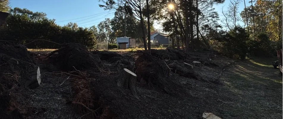 Expert garden landscaping for beautiful yards in Forest City, NC by Alexander Outdoor Services