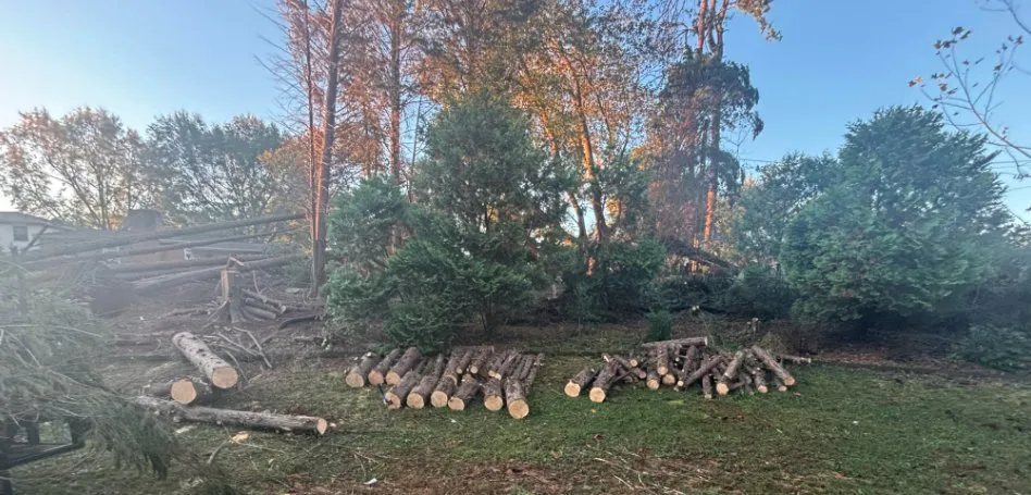 Expert garden landscaping in Forest City, NC by Alexander Outdoor Services