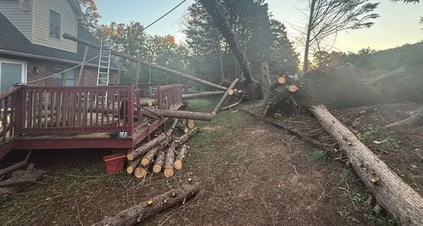 Alexander Outdoor Services Logo