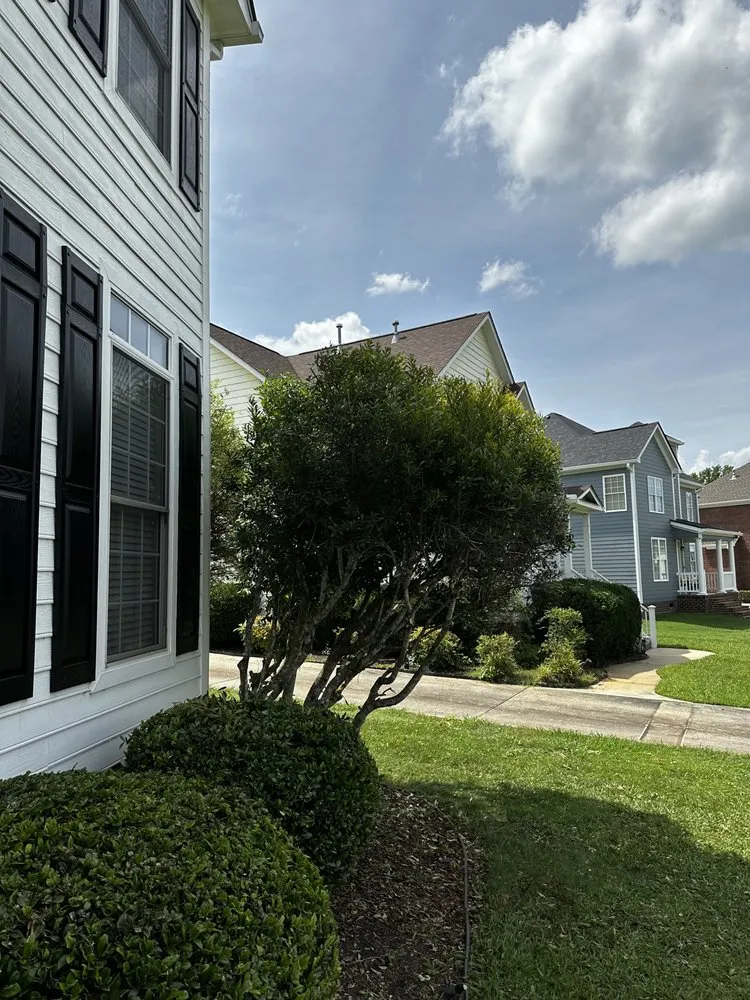 Top-rated landscape installation experts serving Clover, SC - Alexander Outdoor’s solutions