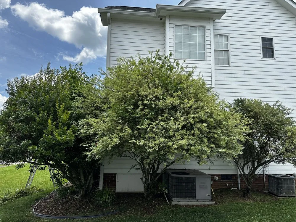 Affordable yard cleanup service for residential properties across Clover, SC - Alexander Outdoor’s solutions