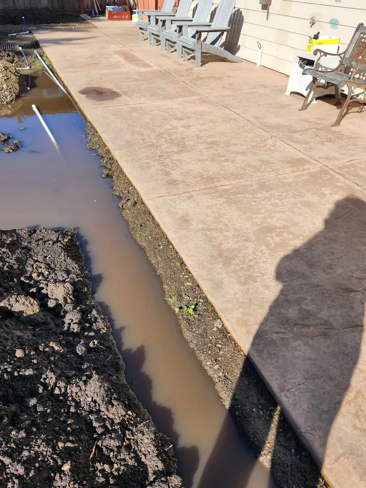 Local lawn care service in Redwood City, CA by Alexander Pacific Landscape Co.