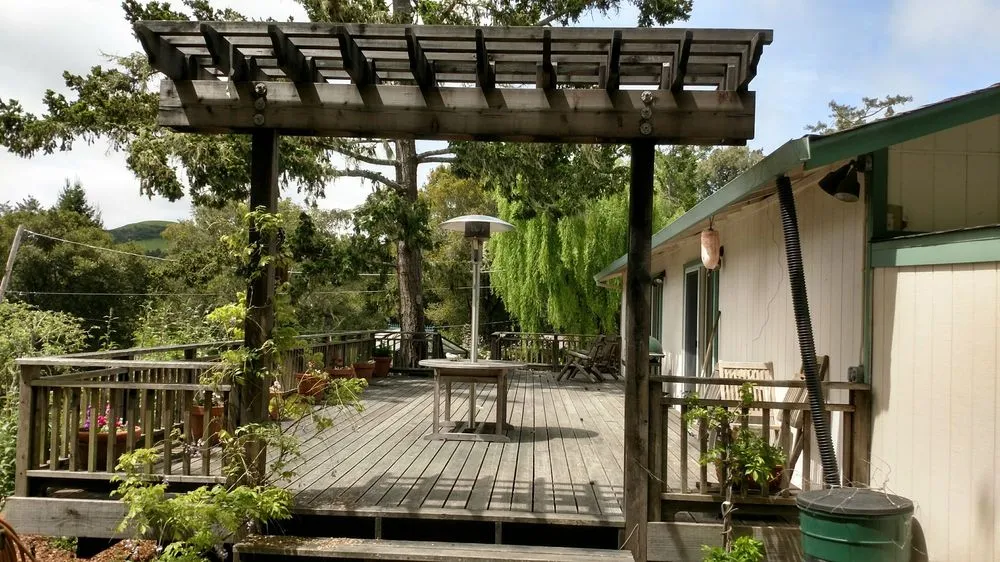 Reliable yard cleanup service experts serving Redwood City, CA - Alexander Pacific Landscape Co.