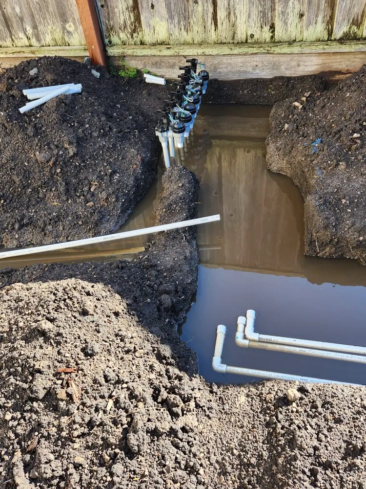 Professional yard maintenance in Redwood City, CA by Alexander Pacific Landscape Co.