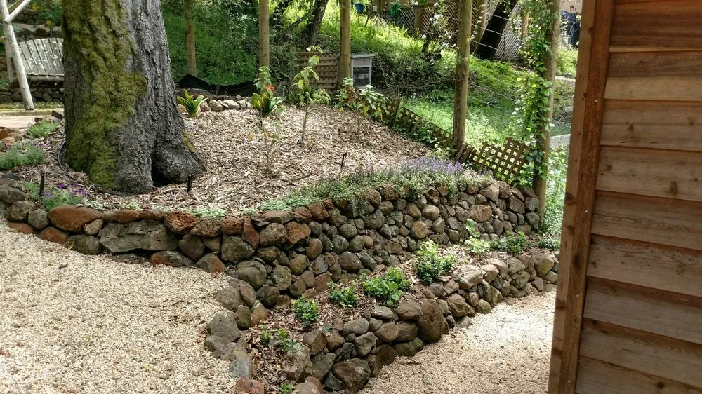 Affordable landscaping services with custom design in Redwood City, CA by Alexander Pacific Landscape Co.