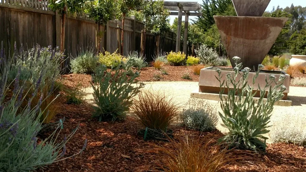 Local yard cleanup service experts serving Redwood City, CA - Alexander Pacific Landscape Co.