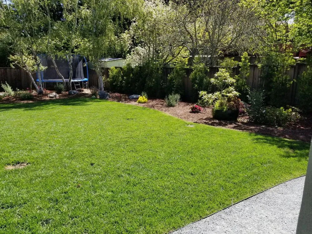 Reliable landscape installation experts serving Redwood City, CA - Alexander Pacific Landscape Co.
