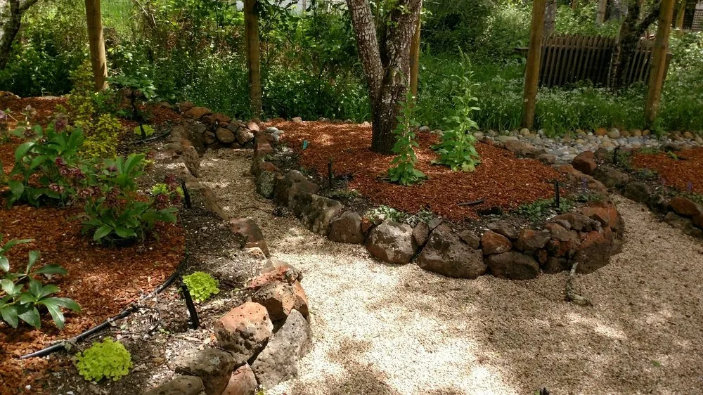Affordable yard maintenance in Redwood City, CA by Alexander Pacific Landscape Co.