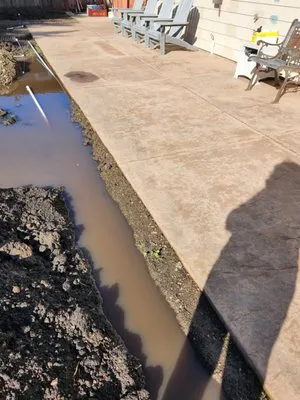 Alexander Pacific Landscape Co. Logo