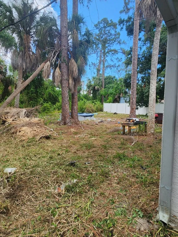 Custom landscaping services for beautiful yards across Port Charlotte, FL - Alexander The Great Outdoor Services