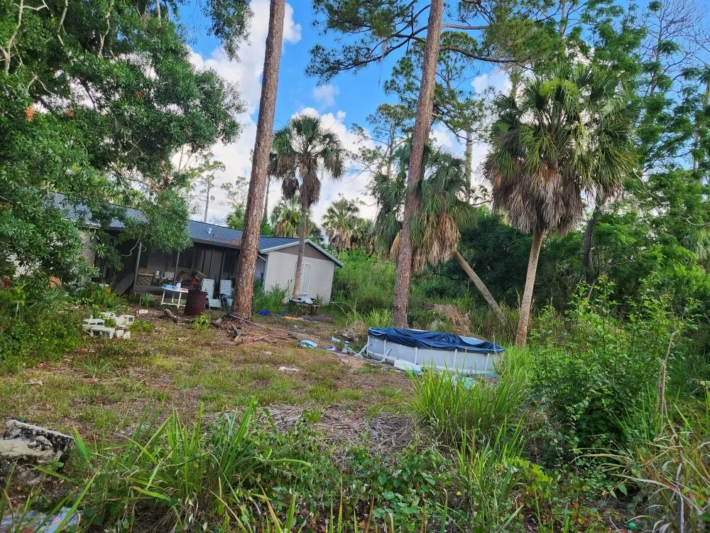 Professional lawn care service near you in Port Charlotte, FL by Alexander The Great Outdoor Services