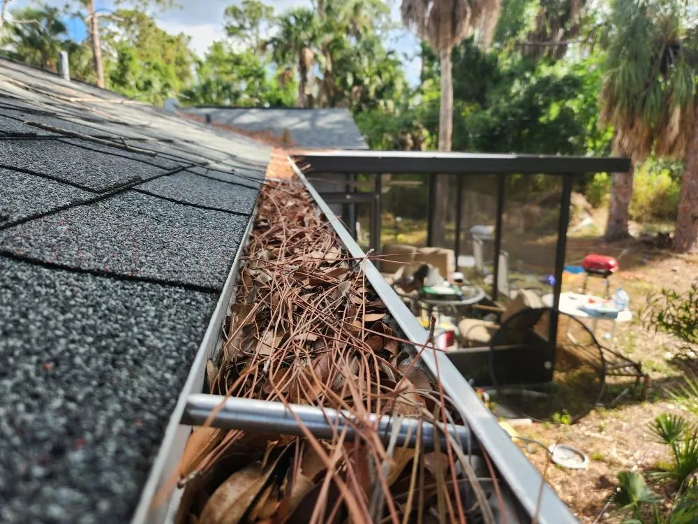 Reliable yard cleanup service in Port Charlotte, FL by Alexander The Great Outdoor Services