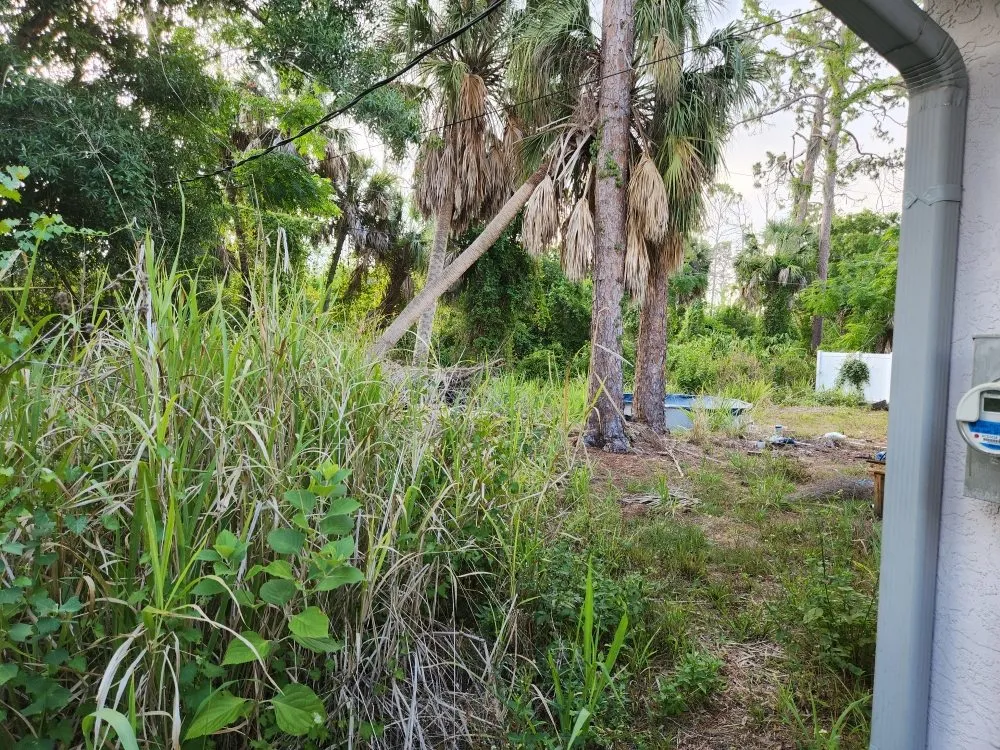 Trusted lawn care service for year-round maintenance across Port Charlotte, FL - Alexander The Great Outdoor Services