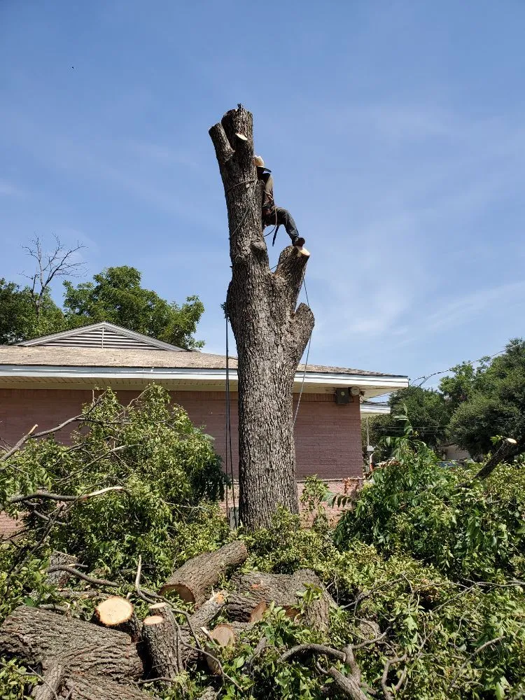 Trusted garden landscaping experts serving Irving, TX - Alexander's Curb Appeal