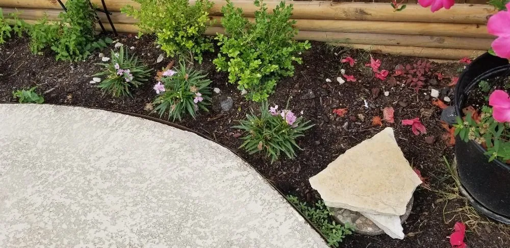 Top-rated landscape installation for year-round maintenance in Irving, TX by Alexander's Curb Appeal