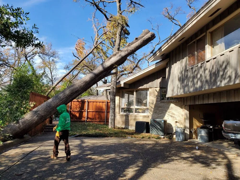 Local lawn care service in Irving, TX - Alexander's Curb Appeal