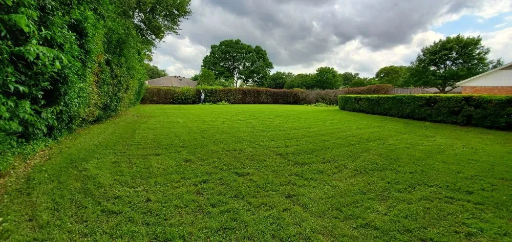 Professional lawn care service for year-round maintenance across Irving, TX - Alexander's Curb Appeal