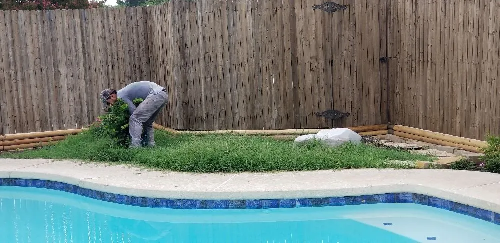 Trusted outdoor landscaping experts serving Irving, TX - Alexander's Curb Appeal