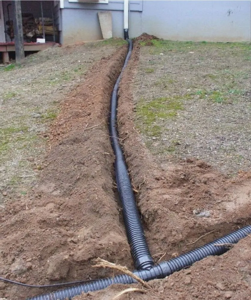 Reliable lawn care service in Irving, TX by Alexander's Curb Appeal