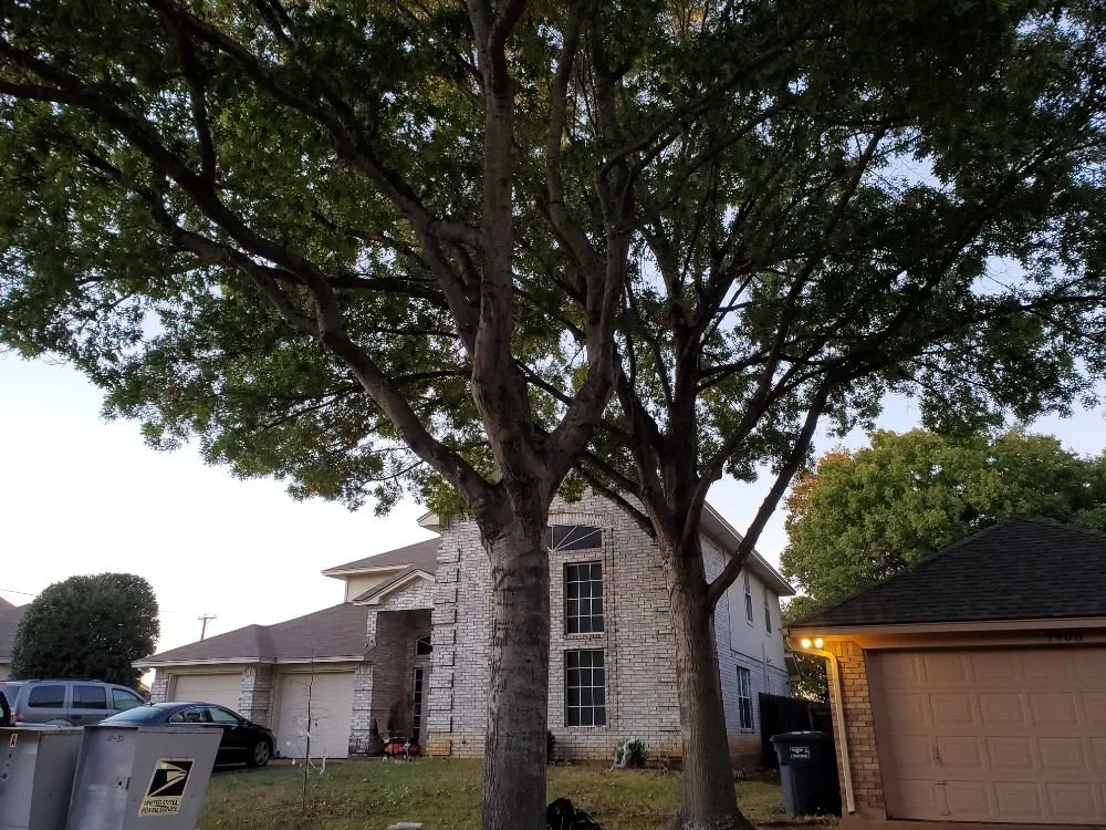 Custom landscaping services in Irving, TX - Alexander's Curb Appeal