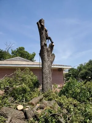 Alexander's Curb Appeal Logo