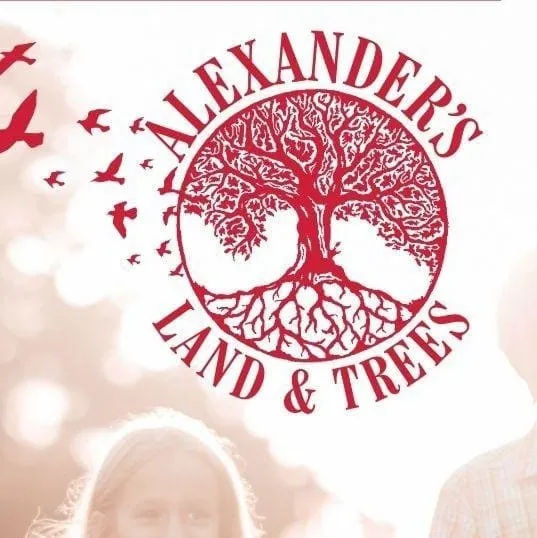 Expert garden landscaping in Lubbock, TX - Alexander's Land & Trees