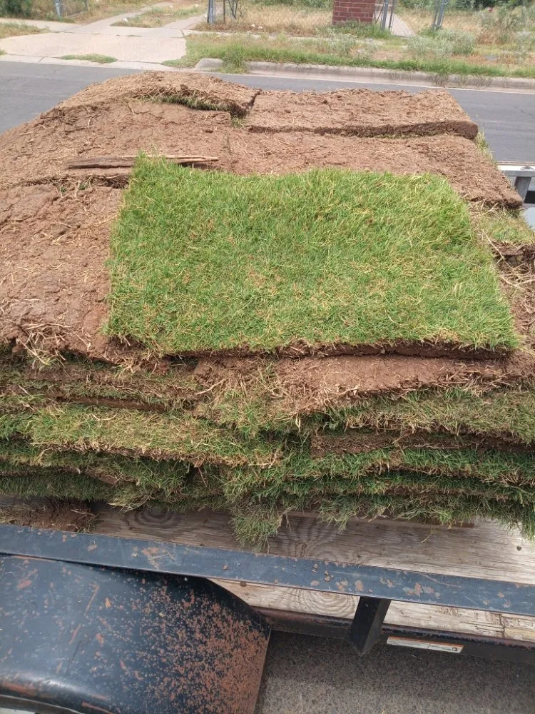 Professional yard maintenance with custom design in Lubbock, TX by Alexander's Land & Trees