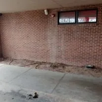 Affordable landscaping services in Lubbock, TX by Alexander's Land & Trees