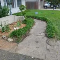 Affordable landscape design near you in Lubbock, TX by Alexander's Land & Trees