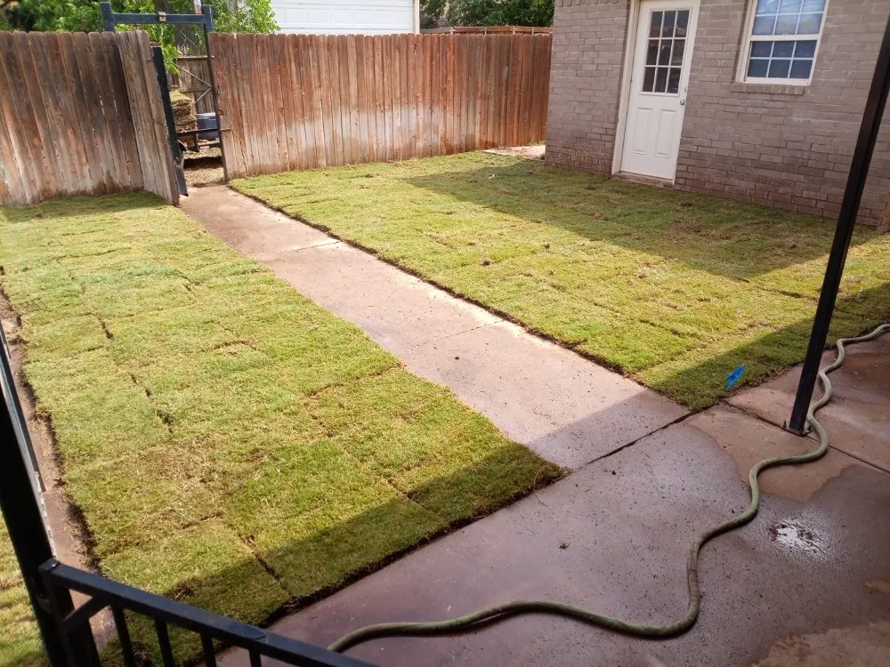 Expert landscape installation in Lubbock, TX by Alexander's Land & Trees