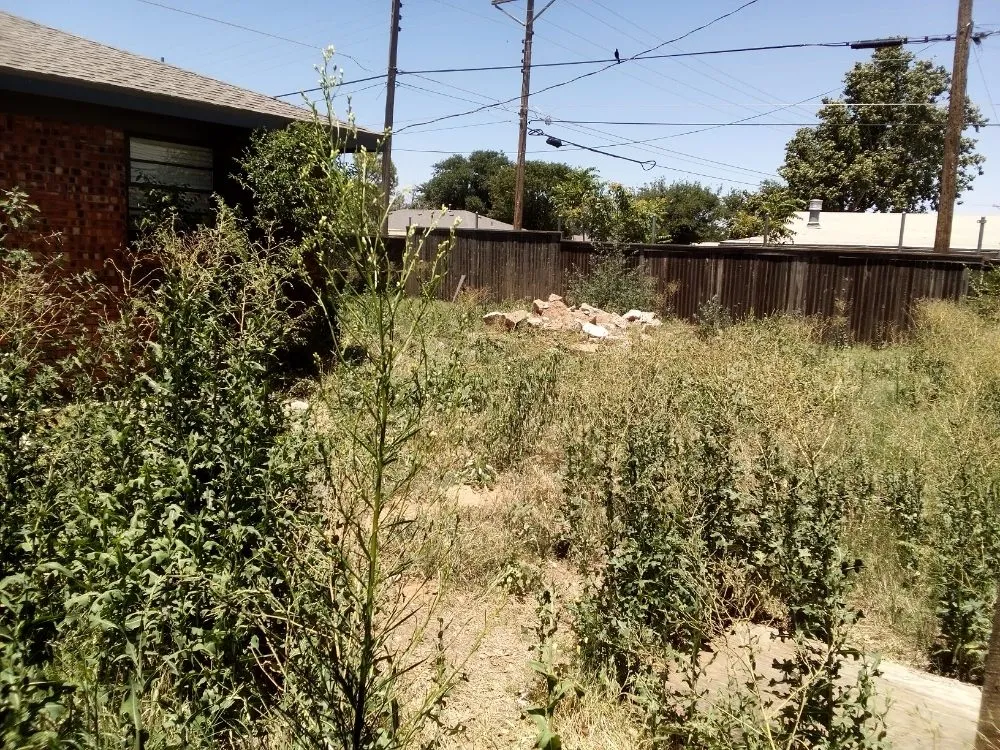 Top-rated landscaping services for residential properties in Lubbock, TX by Alexander's Land & Trees