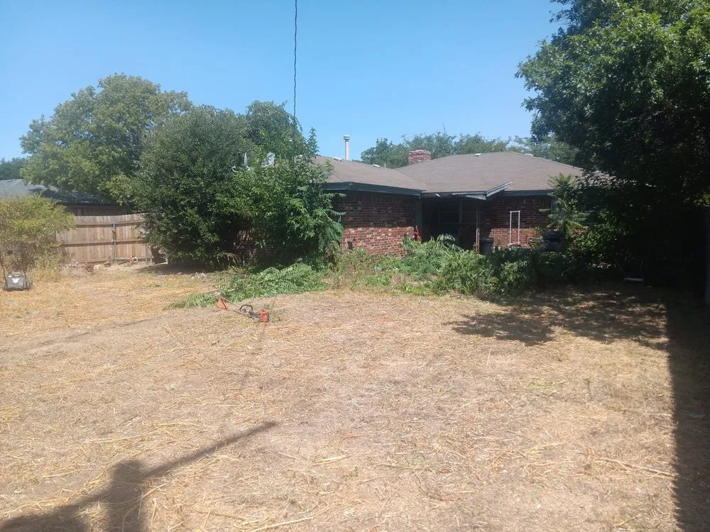 Local landscape design for outdoor upgrades across Lubbock, TX - Alexander's Land & Trees