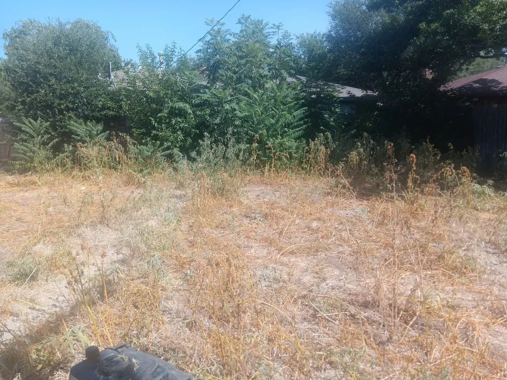 Expert garden landscaping for residential properties across Lubbock, TX - Alexander's Land & Trees