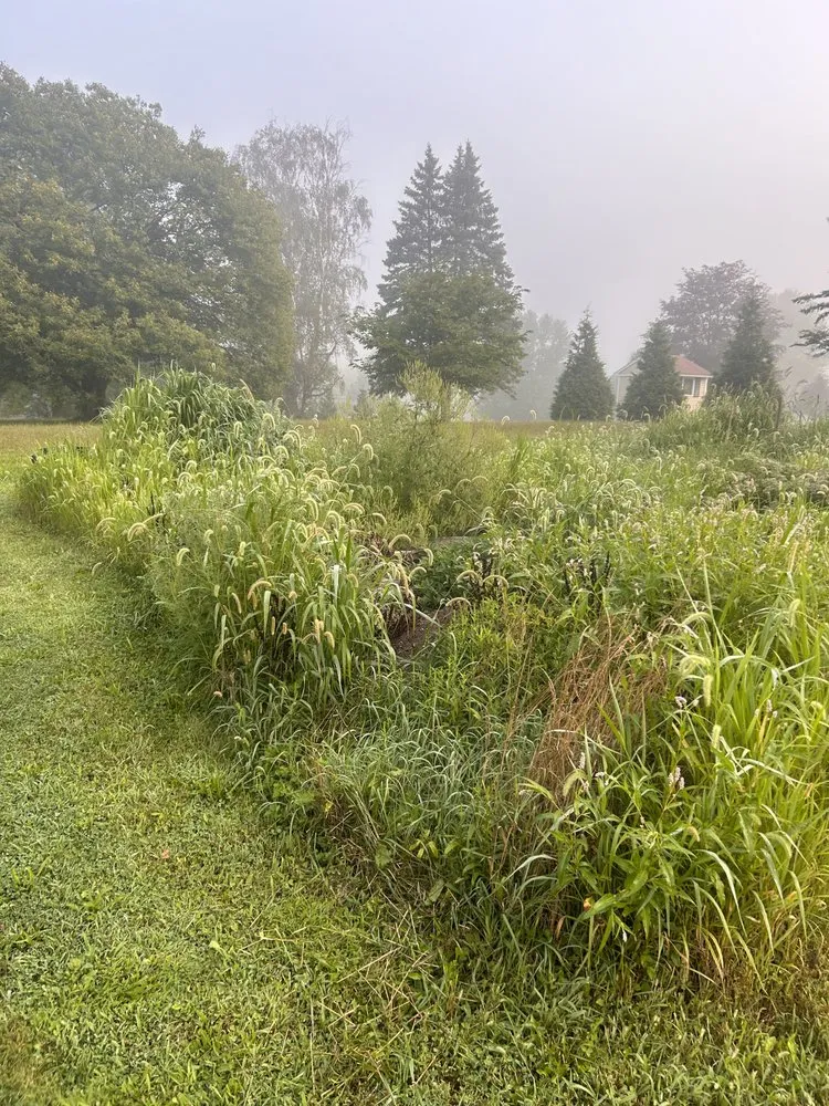 Affordable landscaping services in Muncy, PA by Alexander’s Landscapes And More