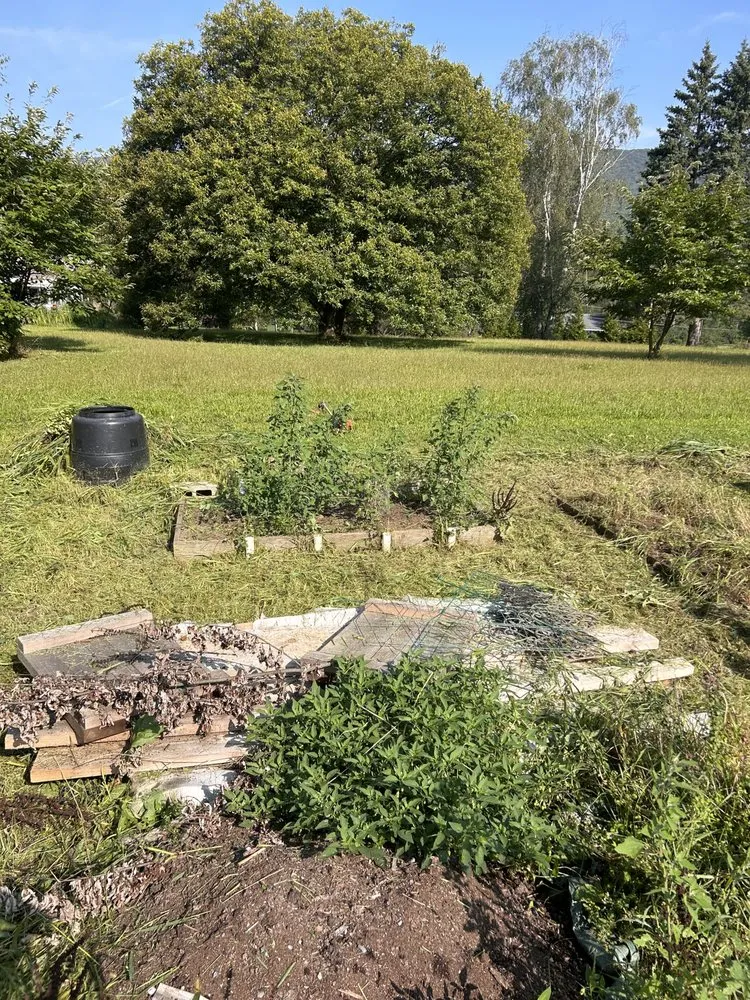 Trusted landscaping services in Muncy, PA - Alexander’s Landscapes And More