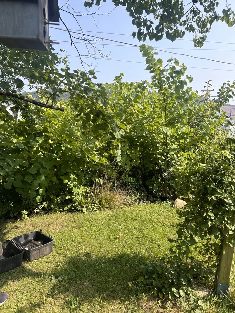 Custom outdoor landscaping for residential properties across Muncy, PA - Alexander’s Landscapes And More