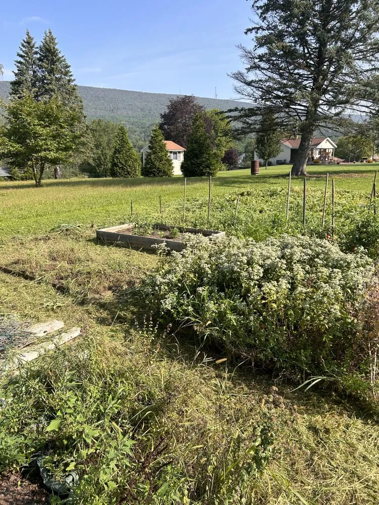 Local lawn care service for year-round maintenance in Muncy, PA by Alexander’s Landscapes And More