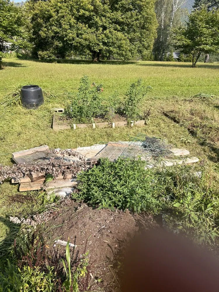 Top-rated yard maintenance for outdoor upgrades across Muncy, PA - Alexander’s Landscapes And More