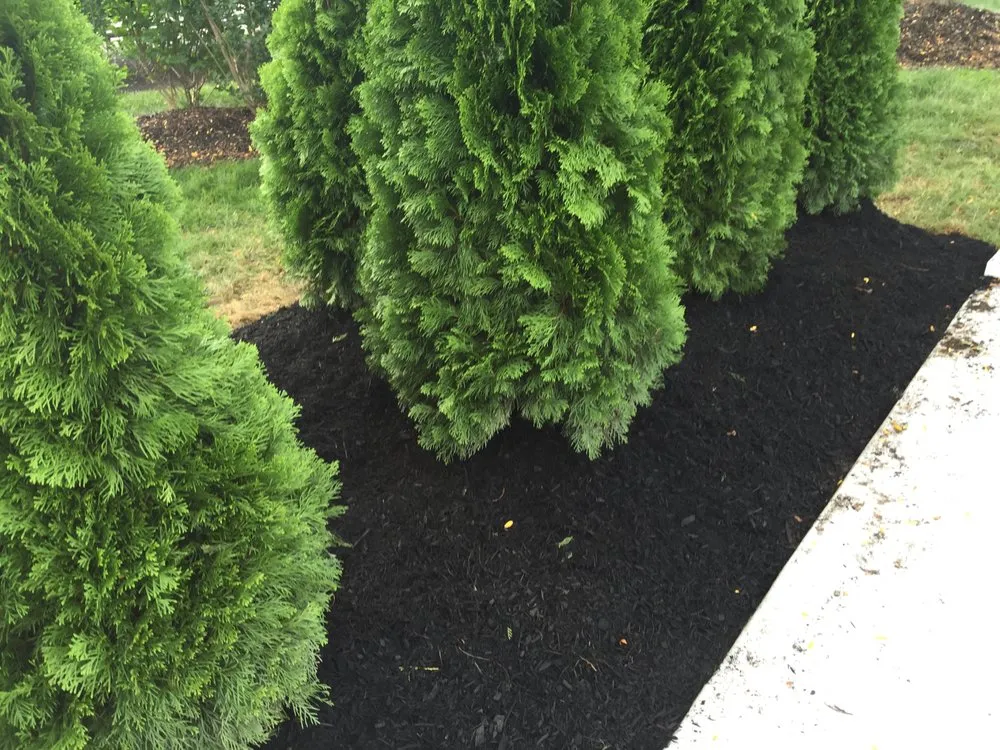 Local landscape installation in Runnemede, NJ - Alexander’s landscaping