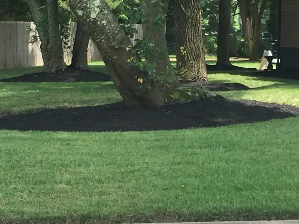 Trusted landscape design for beautiful yards across Runnemede, NJ - Alexander’s landscaping