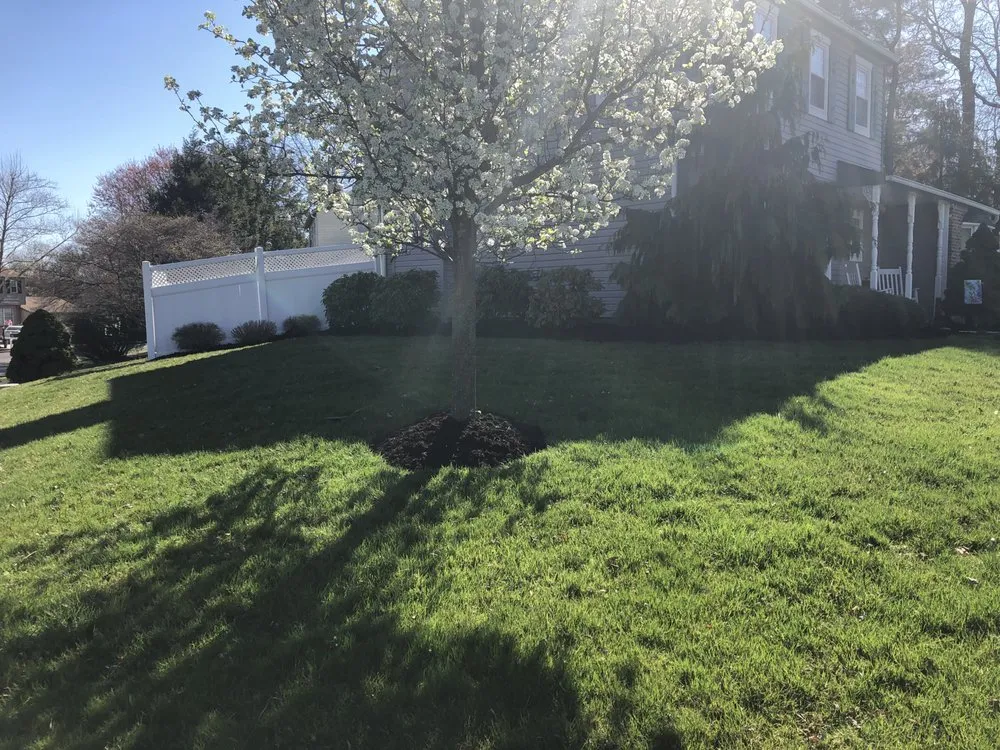 Expert outdoor landscaping in Runnemede, NJ - Alexander’s landscaping
