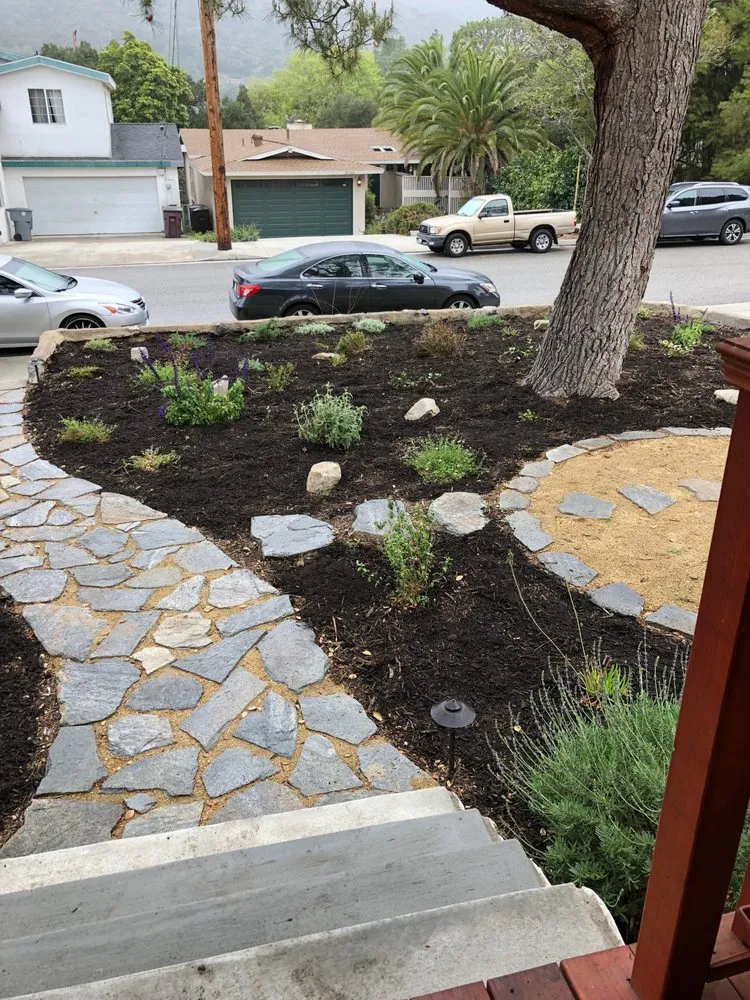 Professional landscaping services experts serving Sunland, CA - Alexander's Landscaping