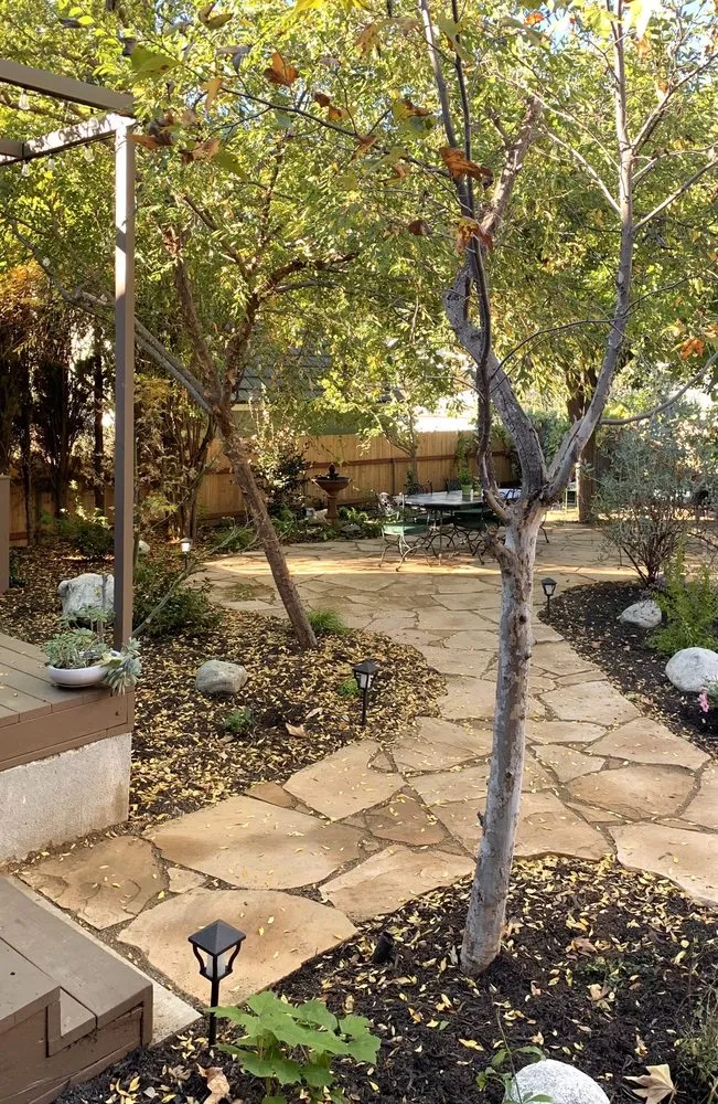 Affordable landscape design in Sunland, CA - Alexander's Landscaping