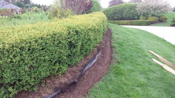 Reliable landscape installation in West Sunbury, PA - Alexander's Lawn Care & Maintenance