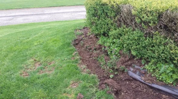 Local garden landscaping in West Sunbury, PA - Alexander's Lawn Care & Maintenance